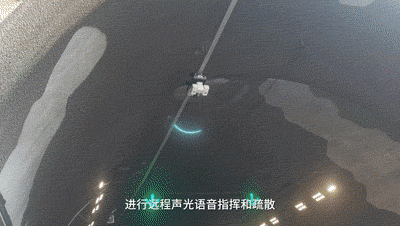 機器人的未來，人形非唯一解