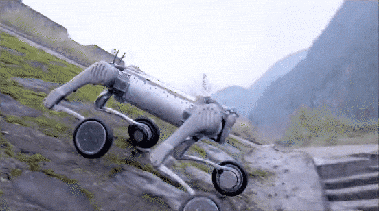 機器人的未來，人形非唯一解