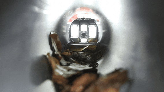 施羅德新品獲深圳衛(wèi)視專題報(bào)道